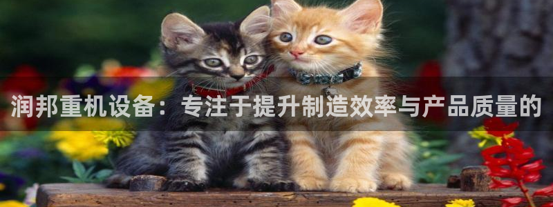 辉达娱乐时时彩
